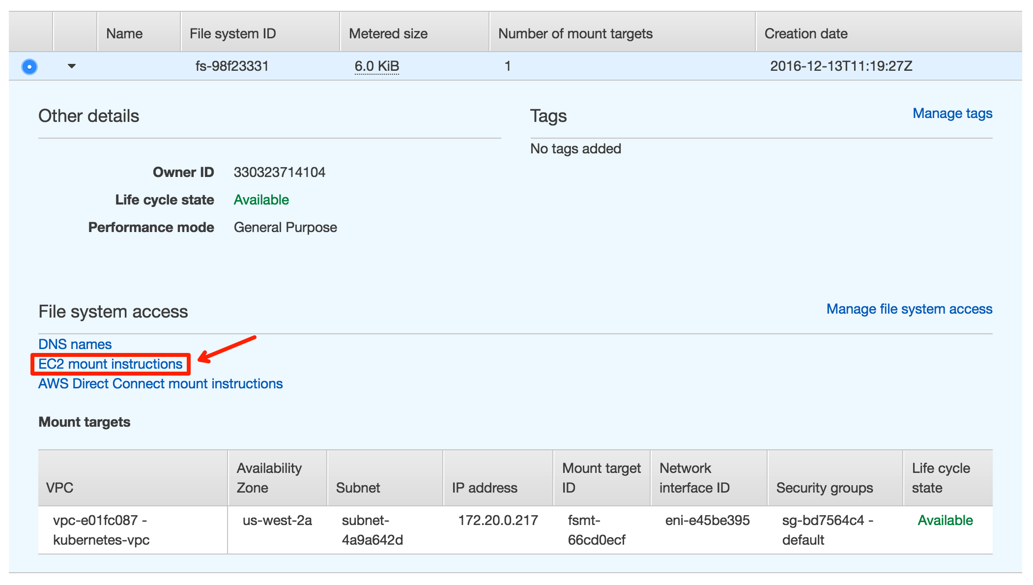 doc/cluster/aws/efs_mount.png