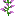 src/static/textures/block/lilac_bottom.png