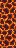 src/static/textures/block/magma.png