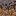 src/static/textures/block/mycelium_side.png