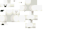 src/static/textures/entity/bear/polarbear.png