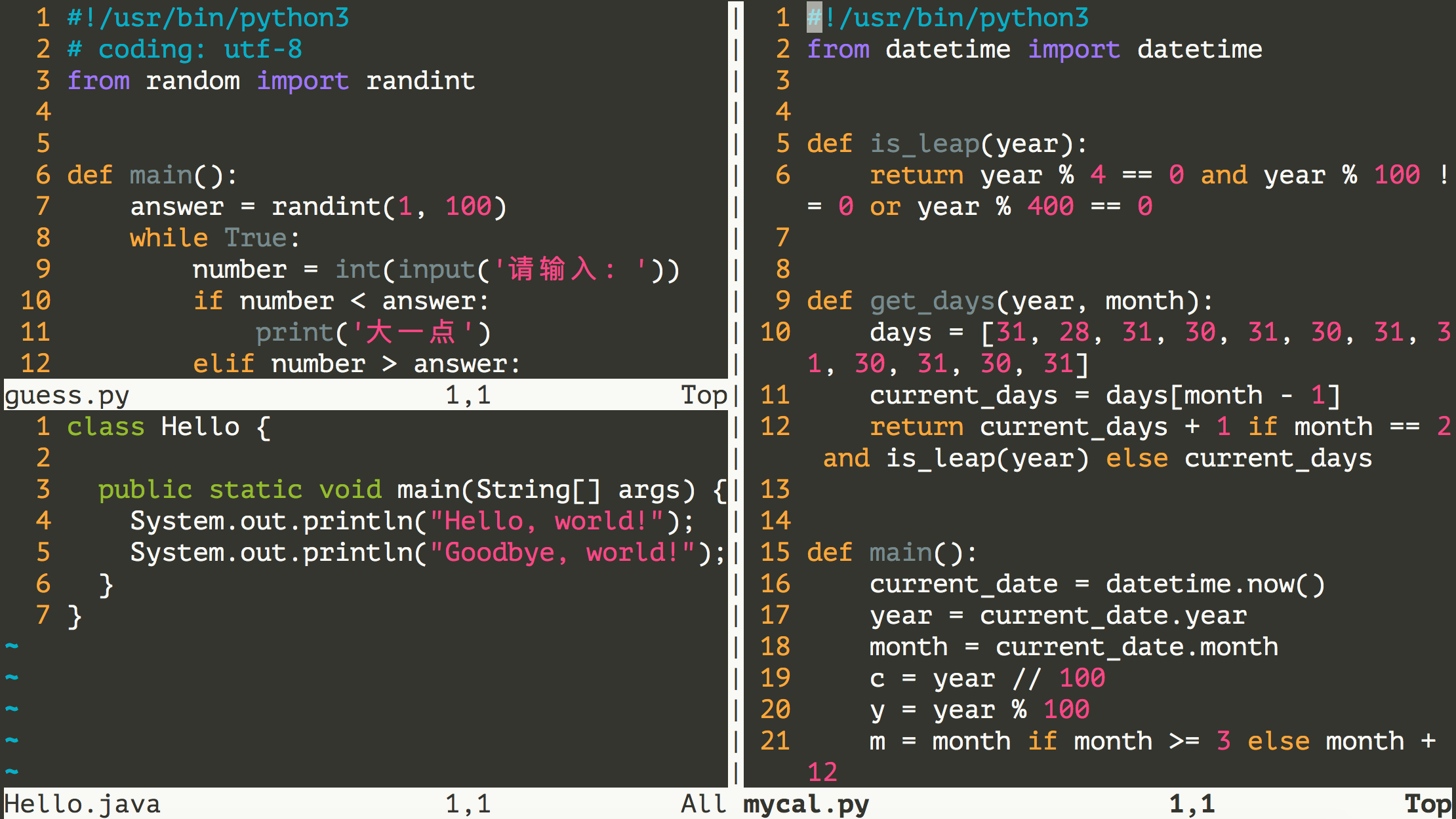 Day31-35/res/vim-multi-window.png