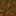 src/static/textures/block/podzol_top.png