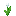 src/static/textures/block/white_tulip.png