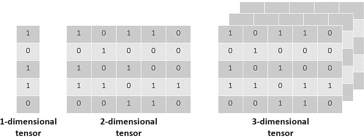Figure 1.2: Visual representation of tensors of different dimensions 
