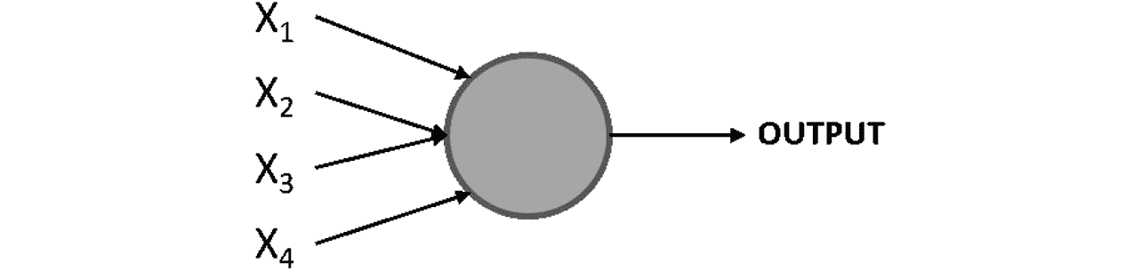 Figure 2.1: Diagram of a perceptron 