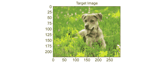 Figure 5.5: The target image 