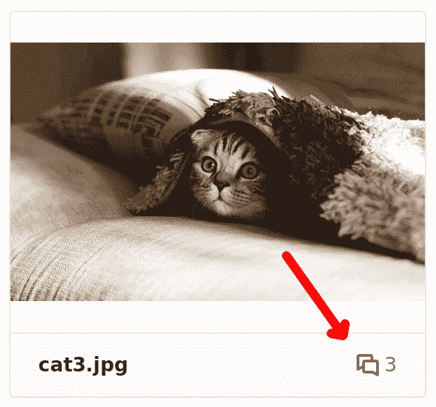 docs/img/1162f64da937aa1ef37877c6b8930e1e.png