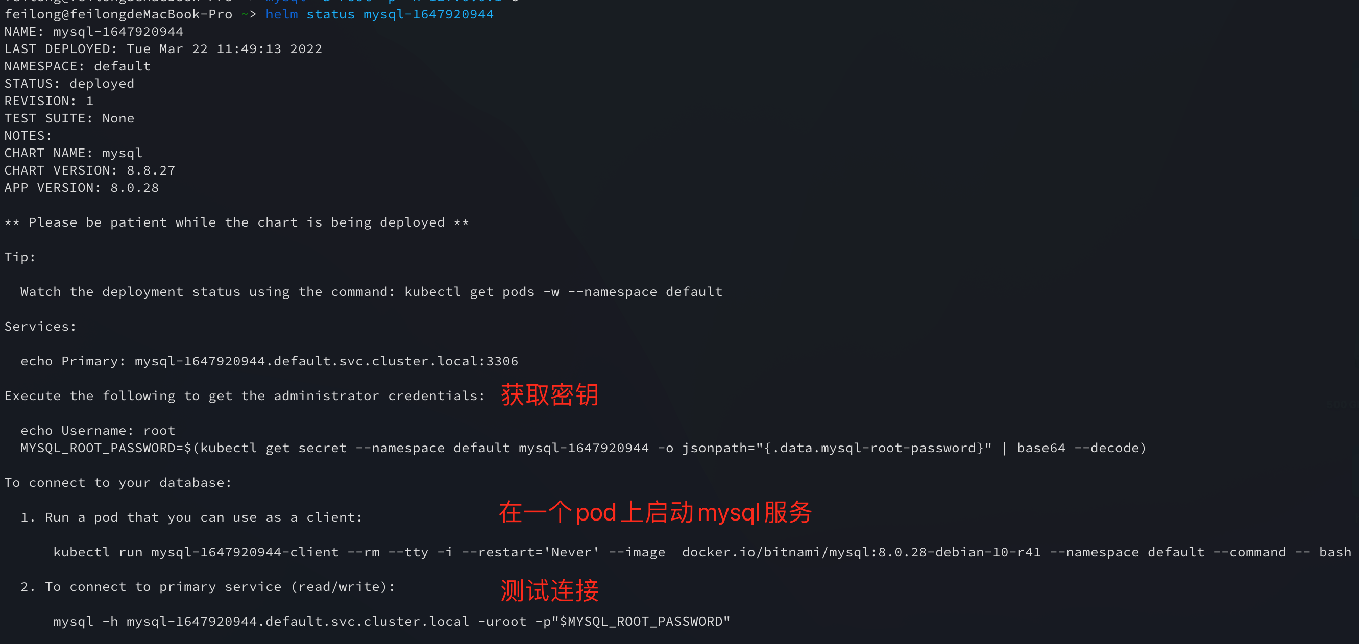 data/1.云原生初阶/4.k8s包管理(helm)/3.使用helm安装mysql到k8s/img/status.png