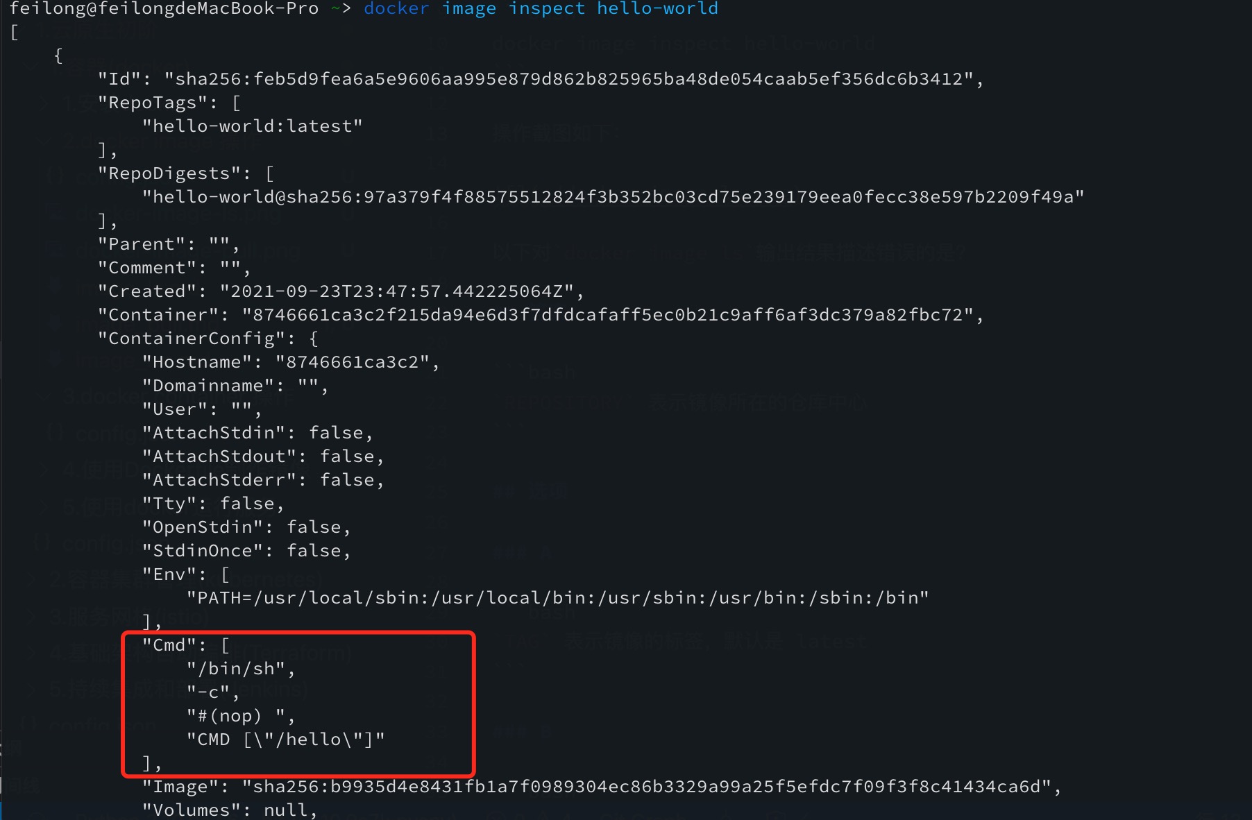 data/1.云原生初阶/1.容器(docker)/2.docker image 操作/docker-image-inspect.png