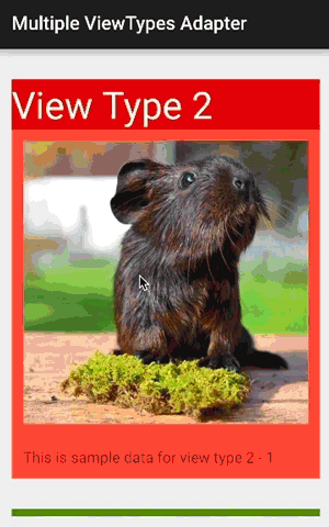 art/RecyclerView-MultipleViewTypesAdapter.gif