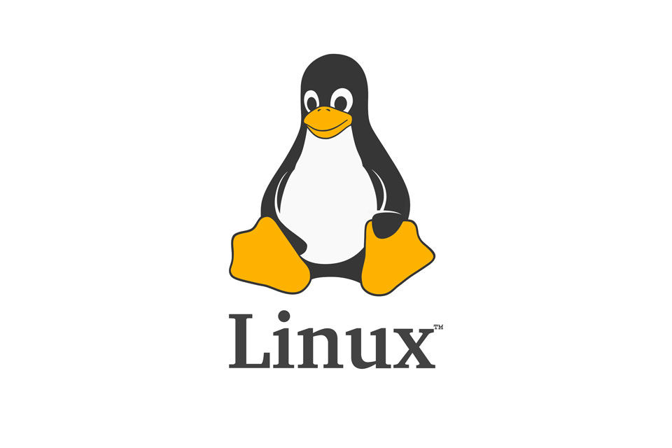 docs/operating-system/images/Linux-Logo.png