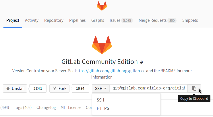 doc/gitlab-basics/img/project_clone_url.png