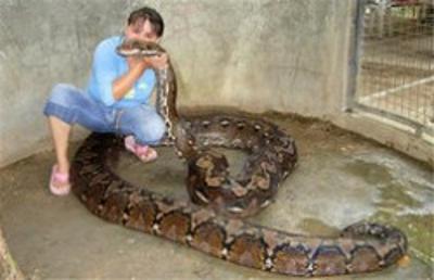 女子遭巨蟒勒颈身亡 事发现场共有140条蛇