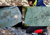 颠覆进化论，南极发现6亿年前超级小人化石，只有几个硬币那么大