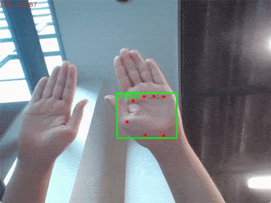 models/palm_detection_mediapipe/examples/mppalmdet_demo.gif