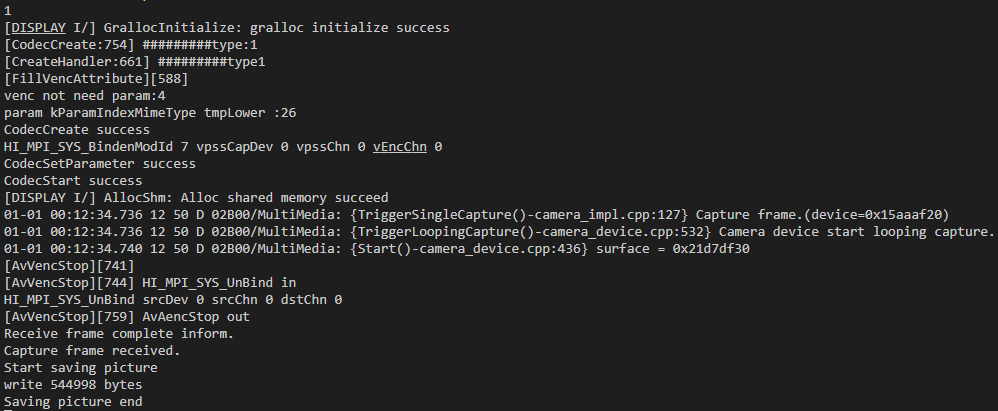 docs-en/guide/figures/serial-port-logs-displayed-after-the-photographing-command-is-executed-1.png