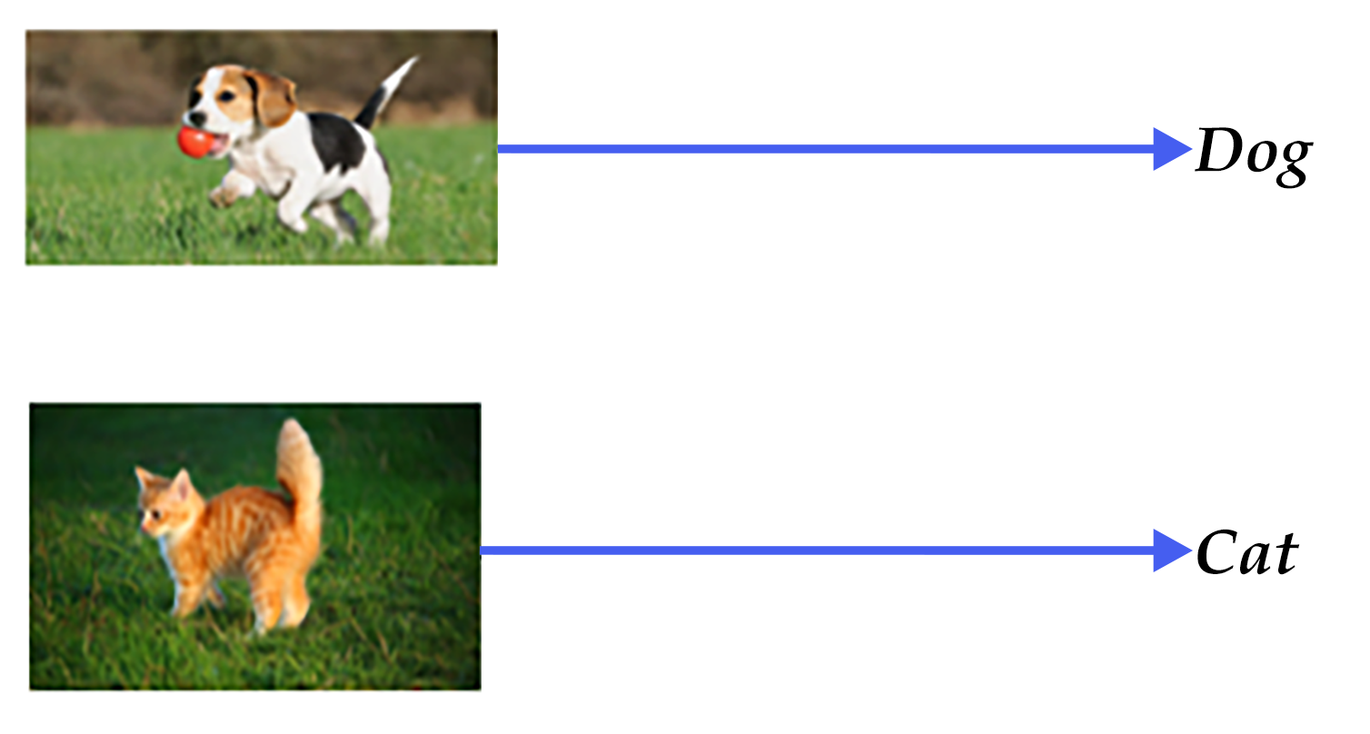 source/beginners_guide/basics/03.image_classification/image/dog_cat.png