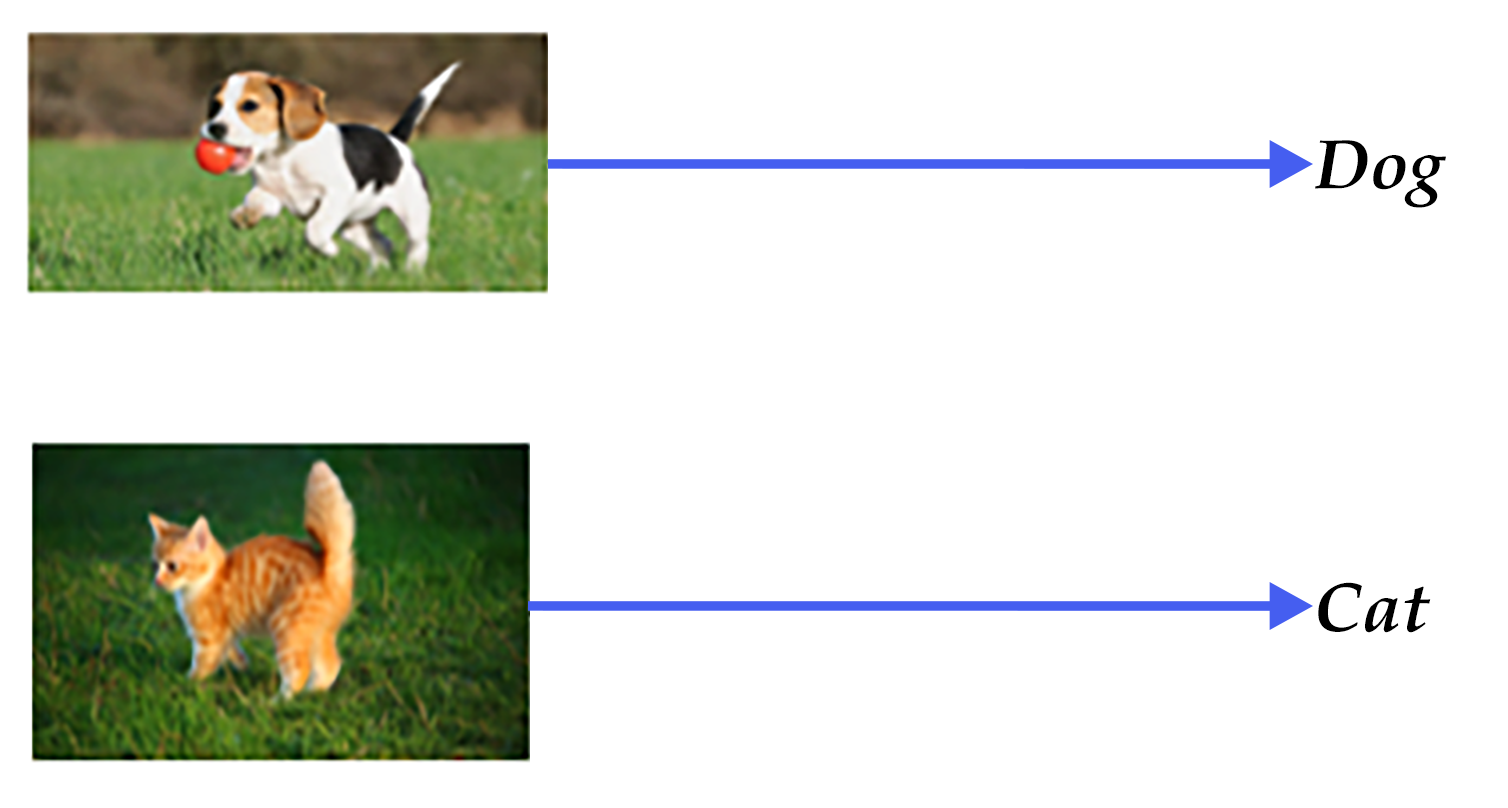 source/beginners_guide/basics/image_classification/image/dog_cat.png
