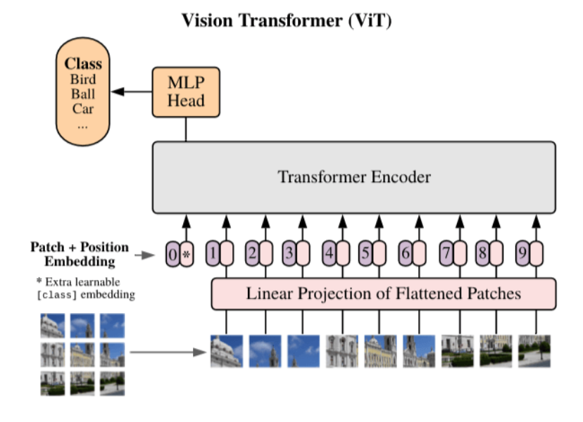 docs/zh_CN/images/faq/ViT_structure.png