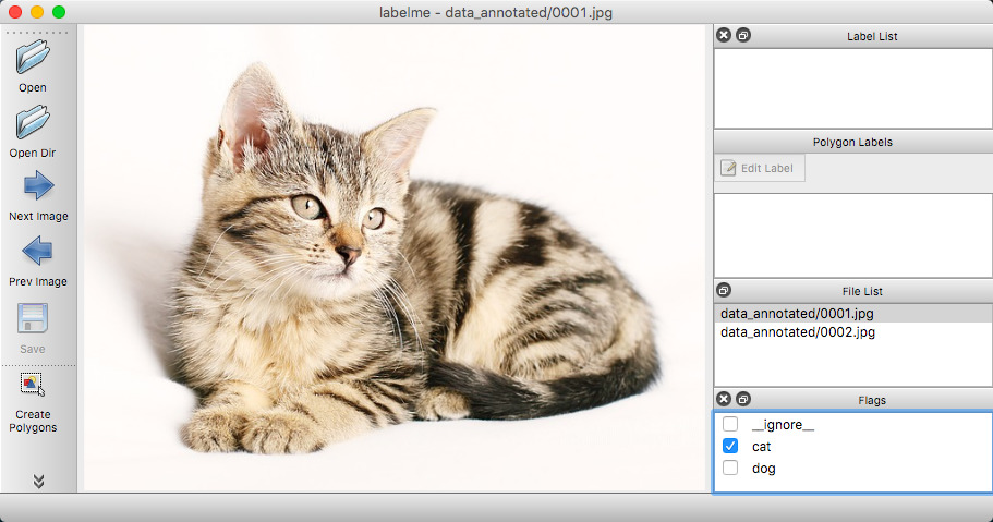 DataAnnotation/labelme/examples/classification/.readme/annotation_cat.jpg