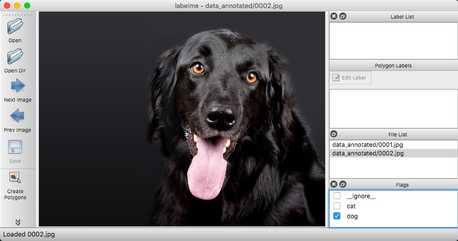 DataAnnotation/labelme/examples/classification/.readme/annotation_dog.jpg