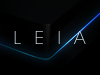 files/projects/leiainc.png