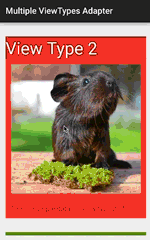 art/RecyclerView-MultipleViewTypesAdapter.gif