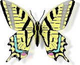 PaintingDemo/Imagecomposition/images/butterfly.png