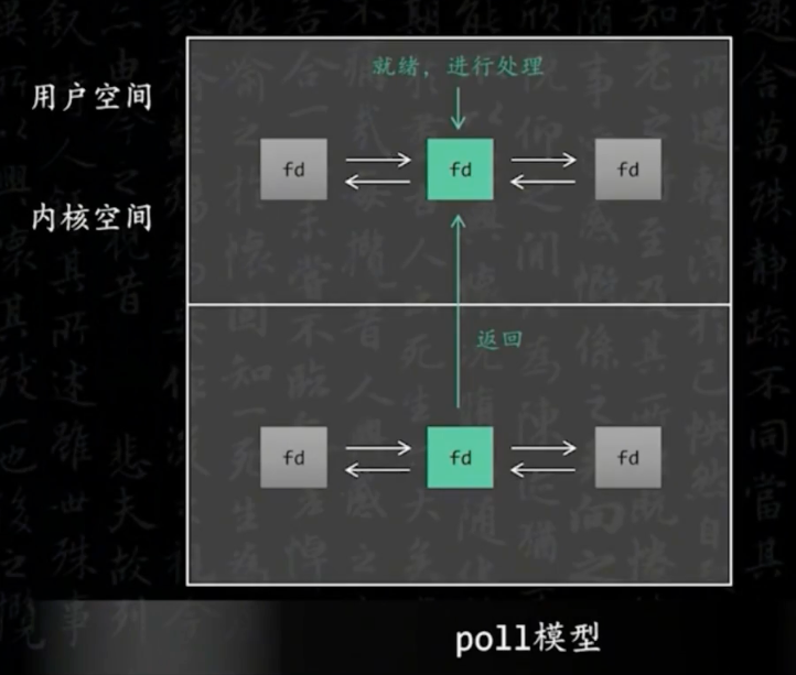 image-20230412202441586.png