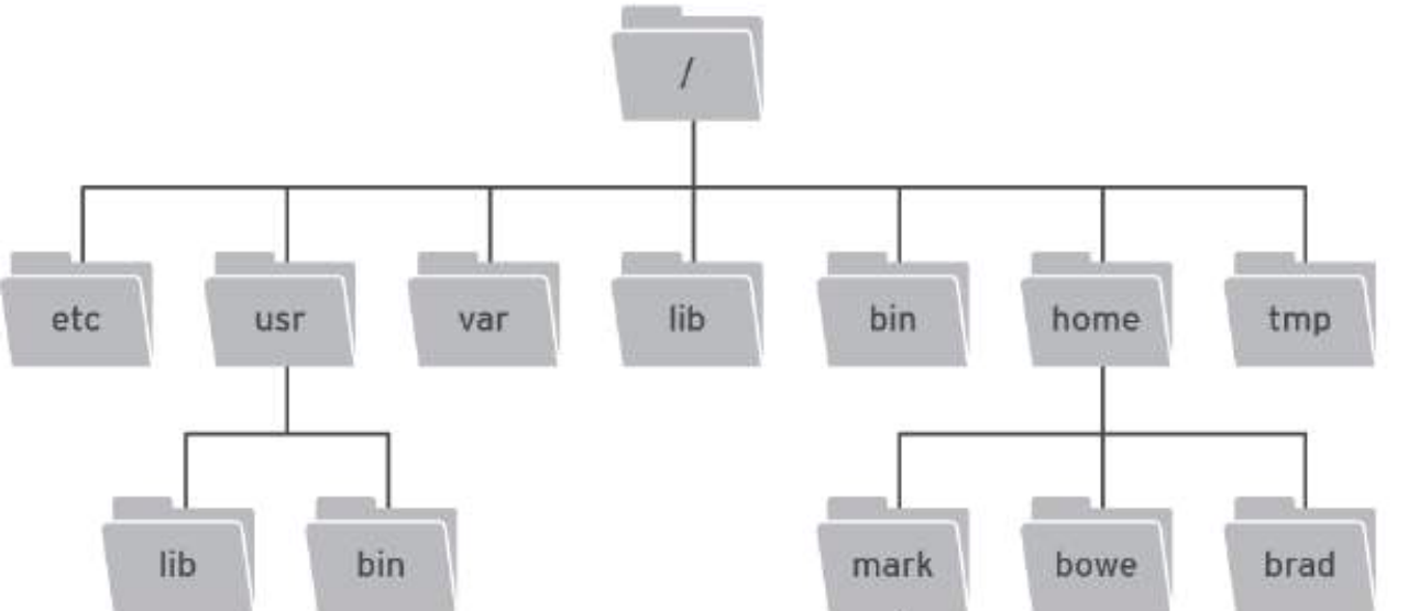 image-20230515113516031.png