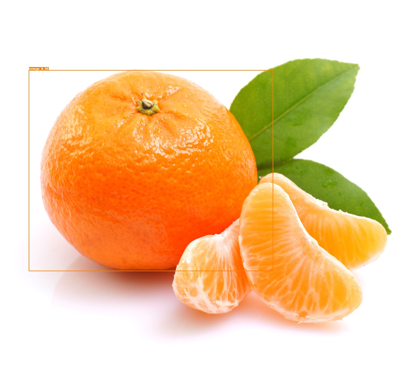 demo/orange_71_detection.jpg