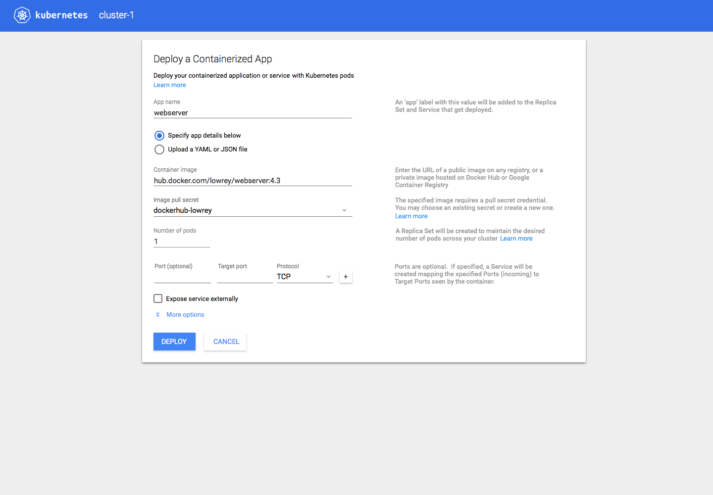 designs/11-11-2015/13_deploy form pull secret specified.png