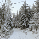 Assets/HDR Light/Winter_Forest/WinterForest_thumb.jpg