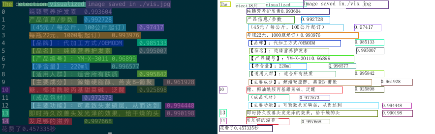 deploy/paddle2onnx/images/lite_demo_onnx.png