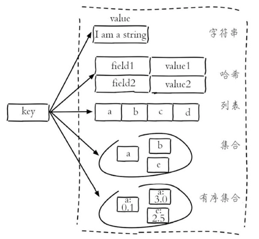 Day26-Day30/res/redis-data-type.png