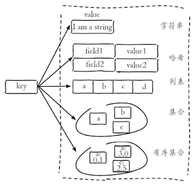 Day36-40/res/redis-data-types.png